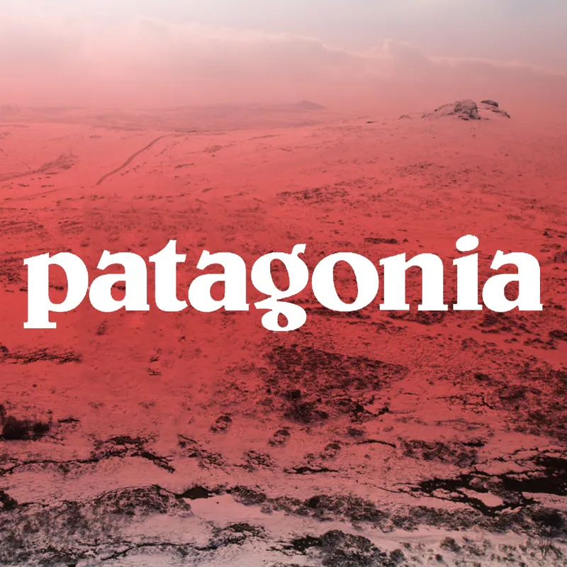 Patagonia Winter Sale